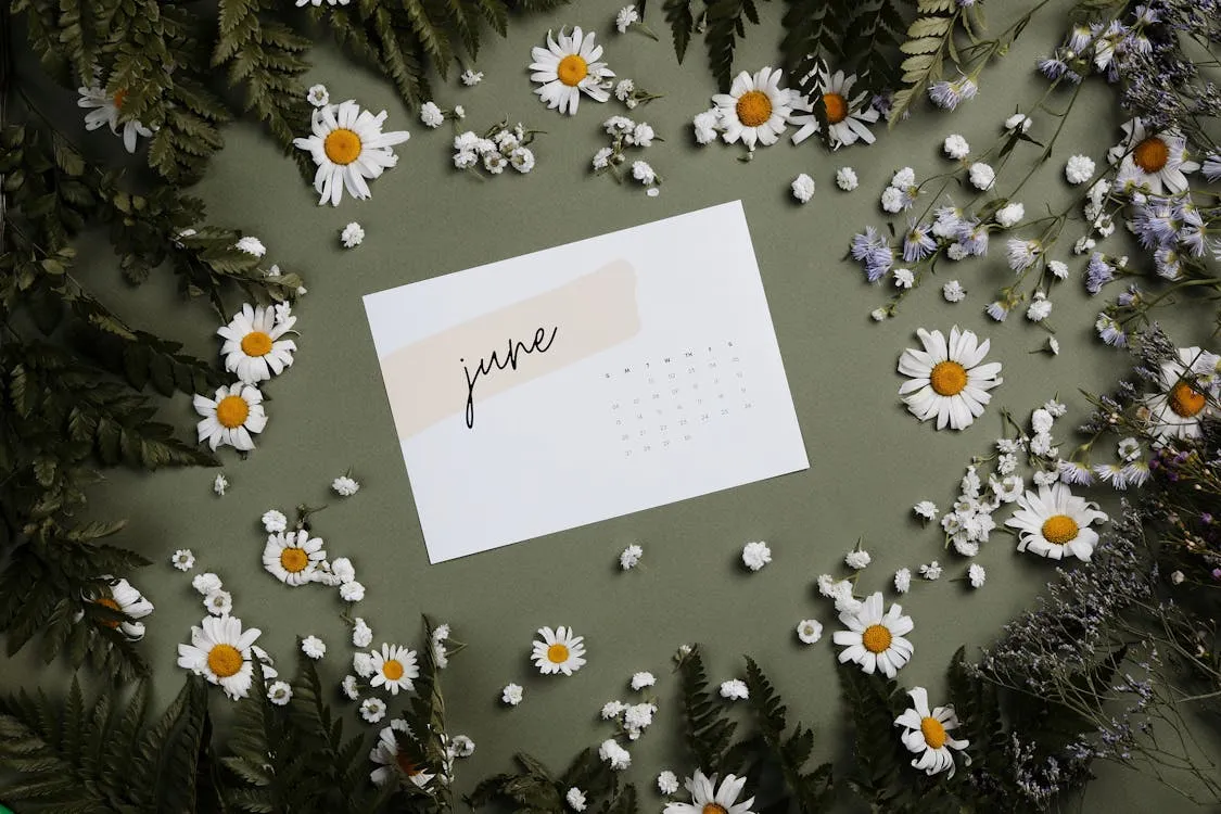 Seasonal Marketing Playbook: Plan, Shoot, Launch, Sell - LenFlash